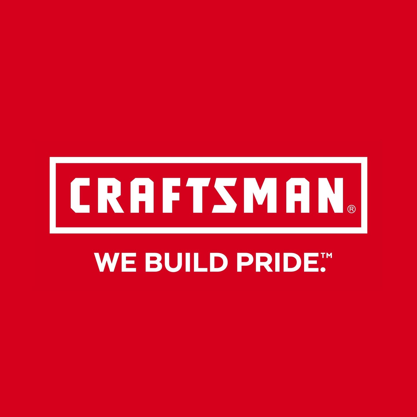 CRAFTSMAN Torque Wrench, 3/8" Drive (CMMT99433)