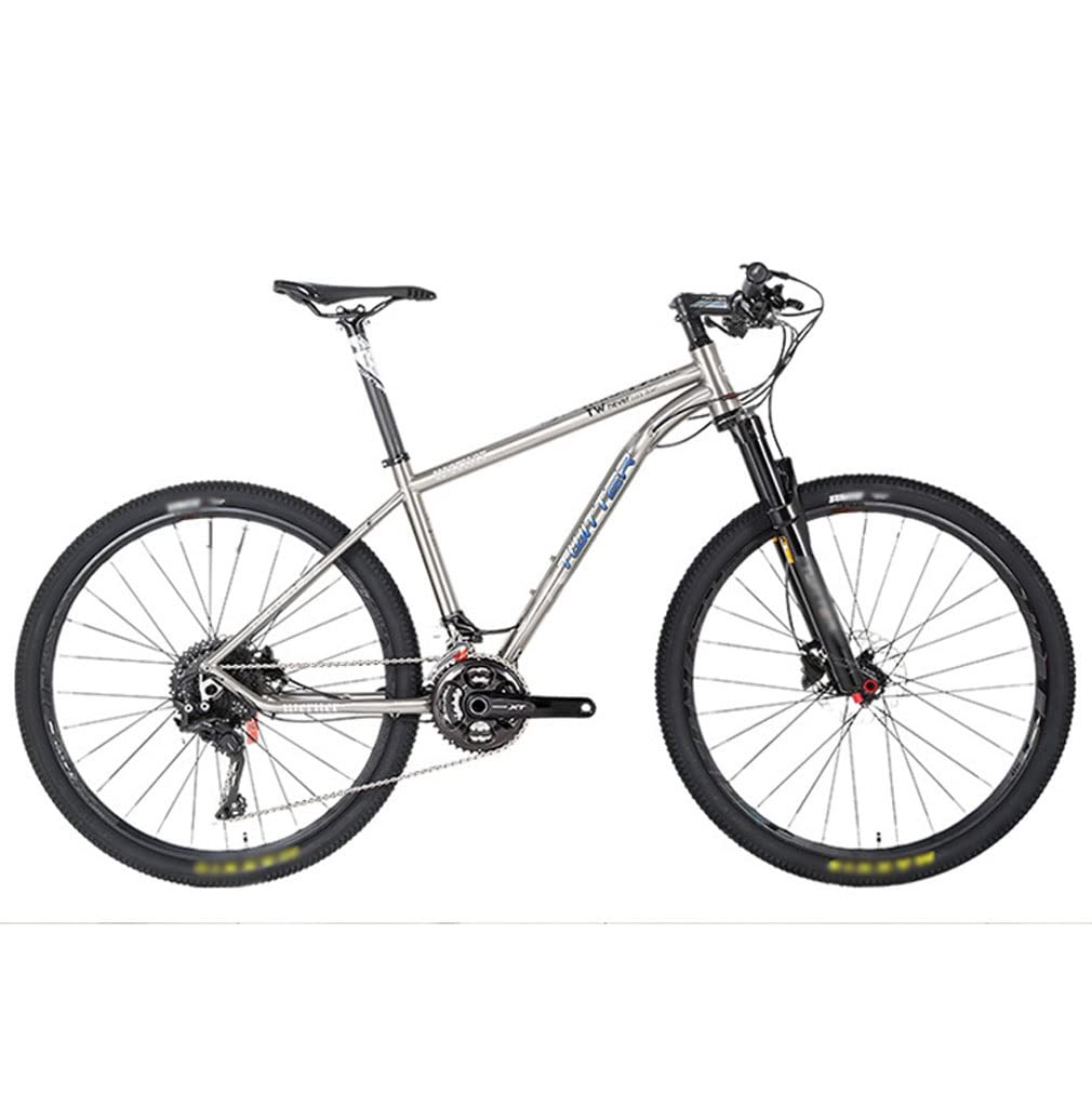 HIMALO Bike Frame 27.5/29er Mountain Bike Frame 15.5''/17''/19'' Lightweight Titanium Alloy Rigid Frame Disc Brake Thru Axle 12x142mm XC AM(29 * 19'')