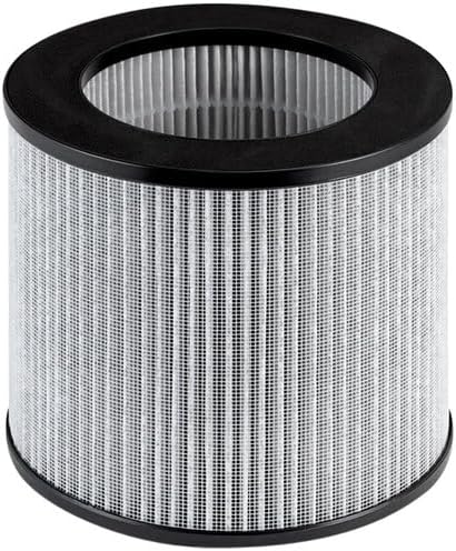 Bissell Replacement High Efficiency Carbon Filter for MyAir Personal Air Purifier, Model 2801