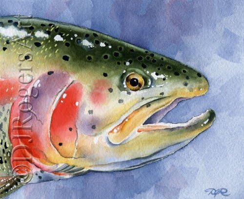 Fly Fishing Art RAINBOW TROUT Art Print by Artist DJ Rogers