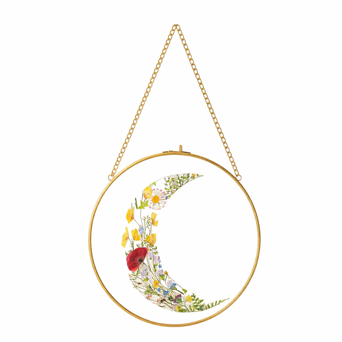 Beedecor Floating Glass Frame for Pressed Flowers Round -with Glass – Botanical Art Display, DIY Dried Flower, Rustic Decor (Gold)