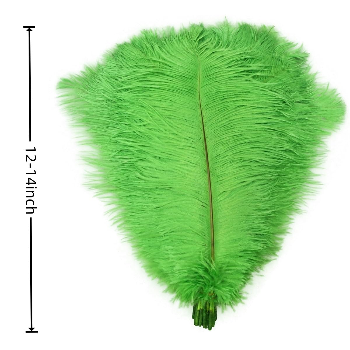 Sowder 10pcs Ostrich Feathers 12-14inch(30-35cm) for Home Wedding Decoration(Lime Green)