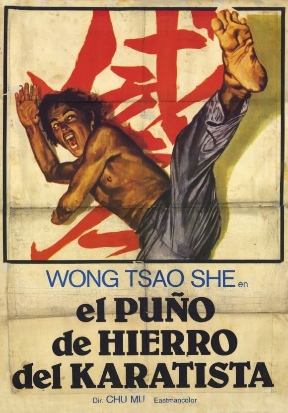 Punisher of Iron Karate Movie Poster Print, 11 x 17