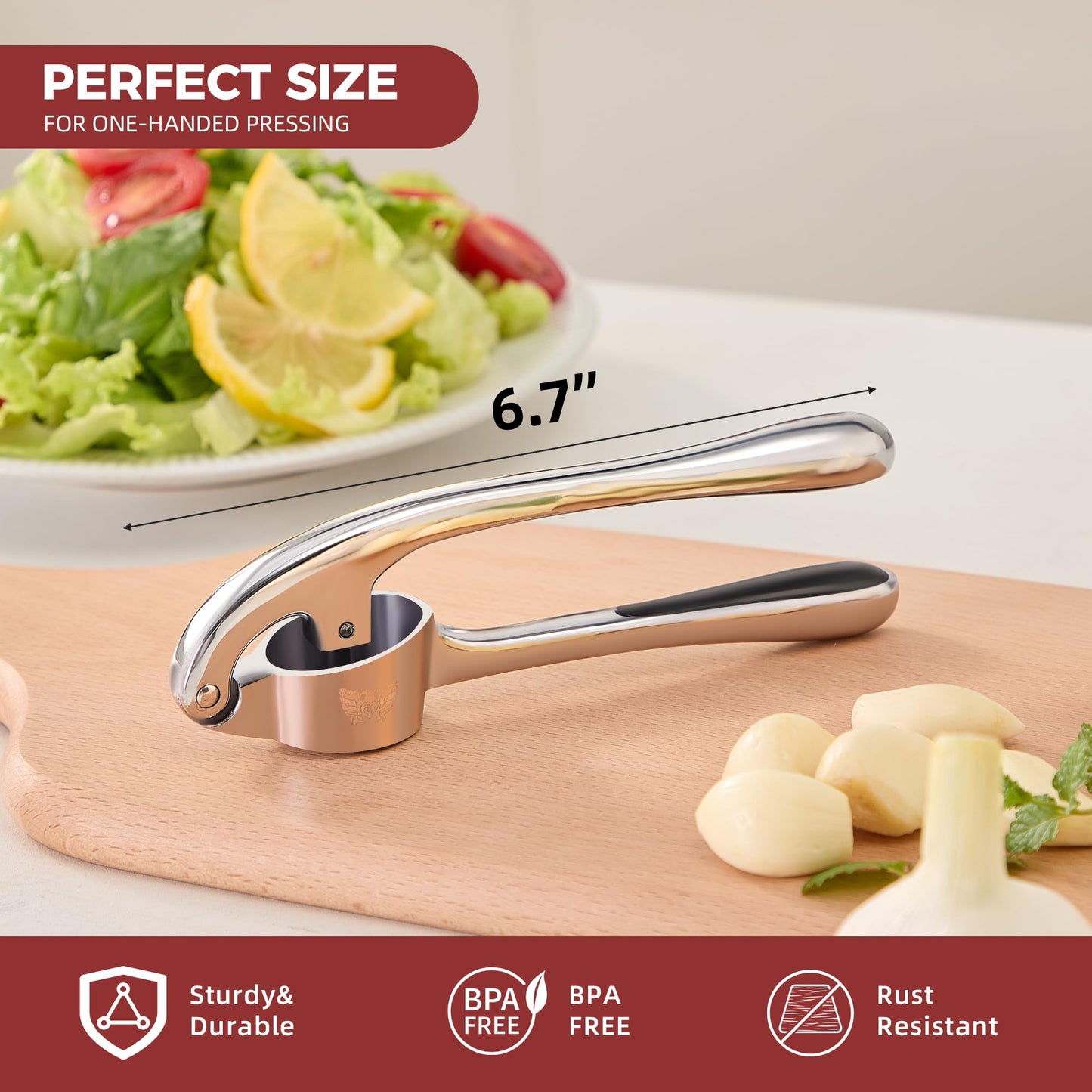 SAFI Garlic Press Set - Premium Zinc Alloy Garlic Mincer Efficient Garlic Crusher & Presser Heavy-Duty Rust-Proof Garlic Masher Kitchen Tool With Garlic Peeler & Brush Home & Kitchen Essential Gadgets