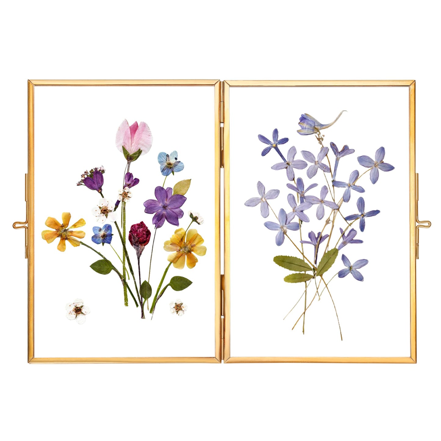 REDHUGO Glass Pressed Flower Frame Handmade, Hinged Double Press Flower Frame, Tabletop Brass Photo Frames, Rectangle Dried Flowers Display Folding Frames for Home, Gold,4×6 Inches