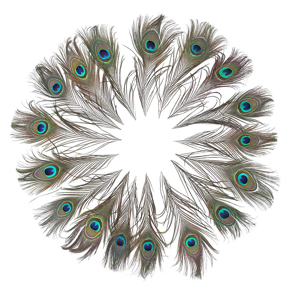 60 PCS Real Natural Peacock Eye Feathers 10-12 inch for DIY Craft, Wedding and Holiday Decorations