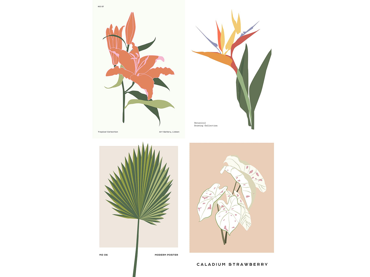 20 Piece Tropical Graphic Garden Flower Floral Collage Kit - Art Boheme, Palm Plants Minimalist, Teen Room Wall, Dormitory Bedroom Decorations, Aesthetic, 4x6 Professional Photos
