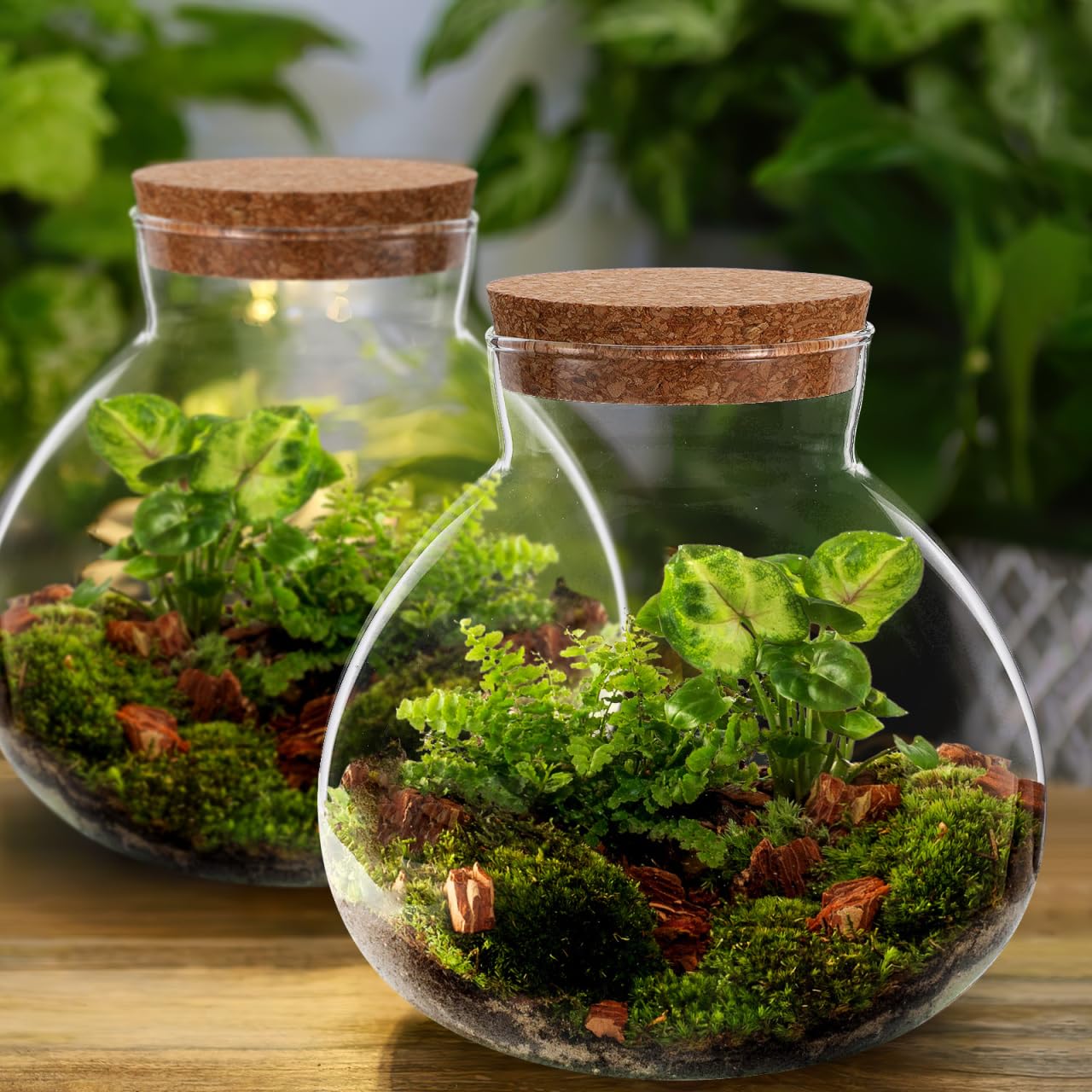 YARNOW Terrarium Bottle with Cork Lid 5.5 Inch Clear Glass Jar for Diy Micro Landscape Succulent Plant Moss Display and Home Decoration