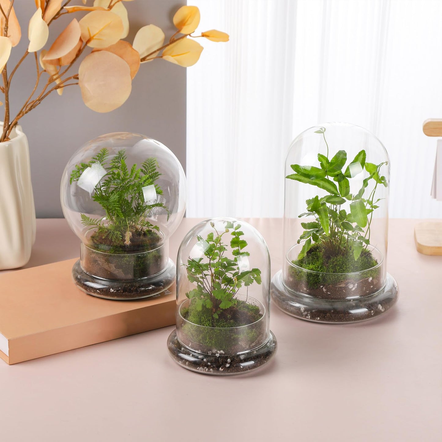 WHJY 6 inches Glass Cloche for Indoor Plants Small Terrarium Glass Cloche with Base Mini Cloche Dome with Base for Display Home Decor