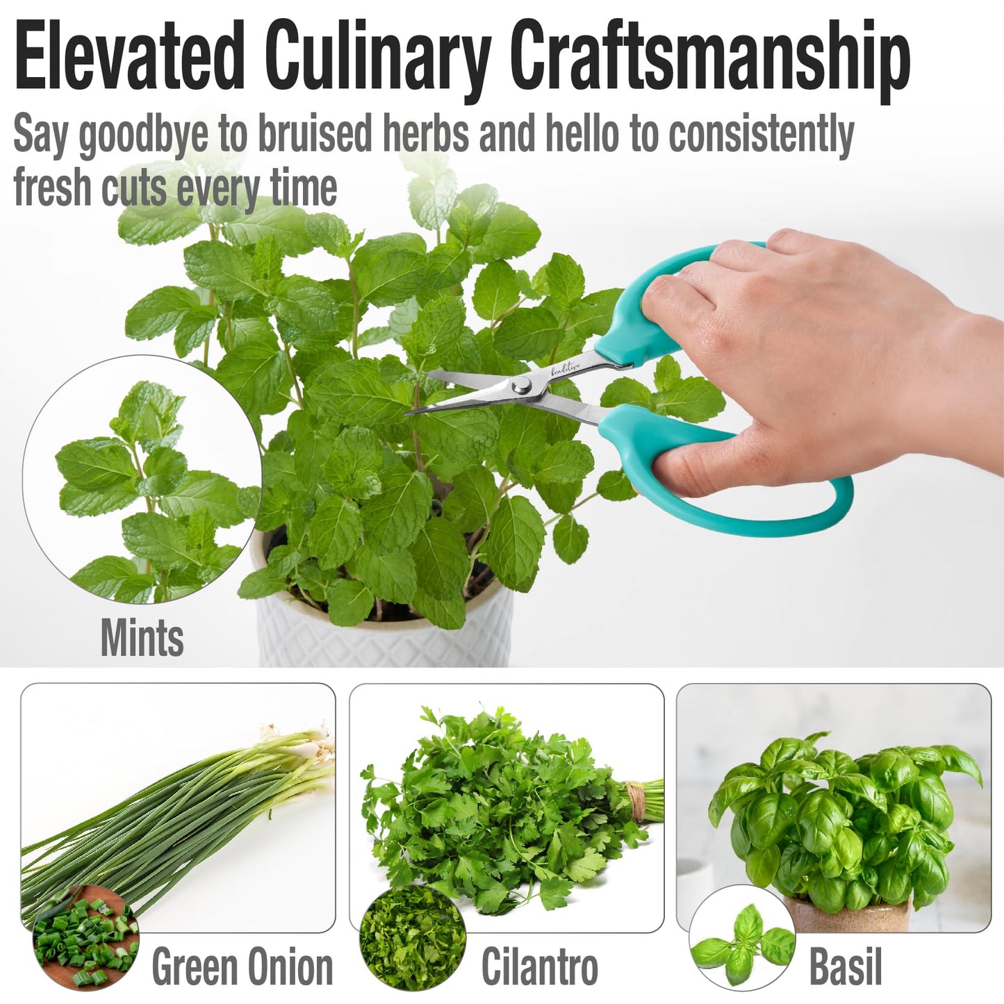 Beaditive Culinary Herb Scissors - Compact 6.5-Inch Stainless Steel Kitchen Scissors - Dishwasher Safe - Sharp Tip for Snipping Fresh Herbs
