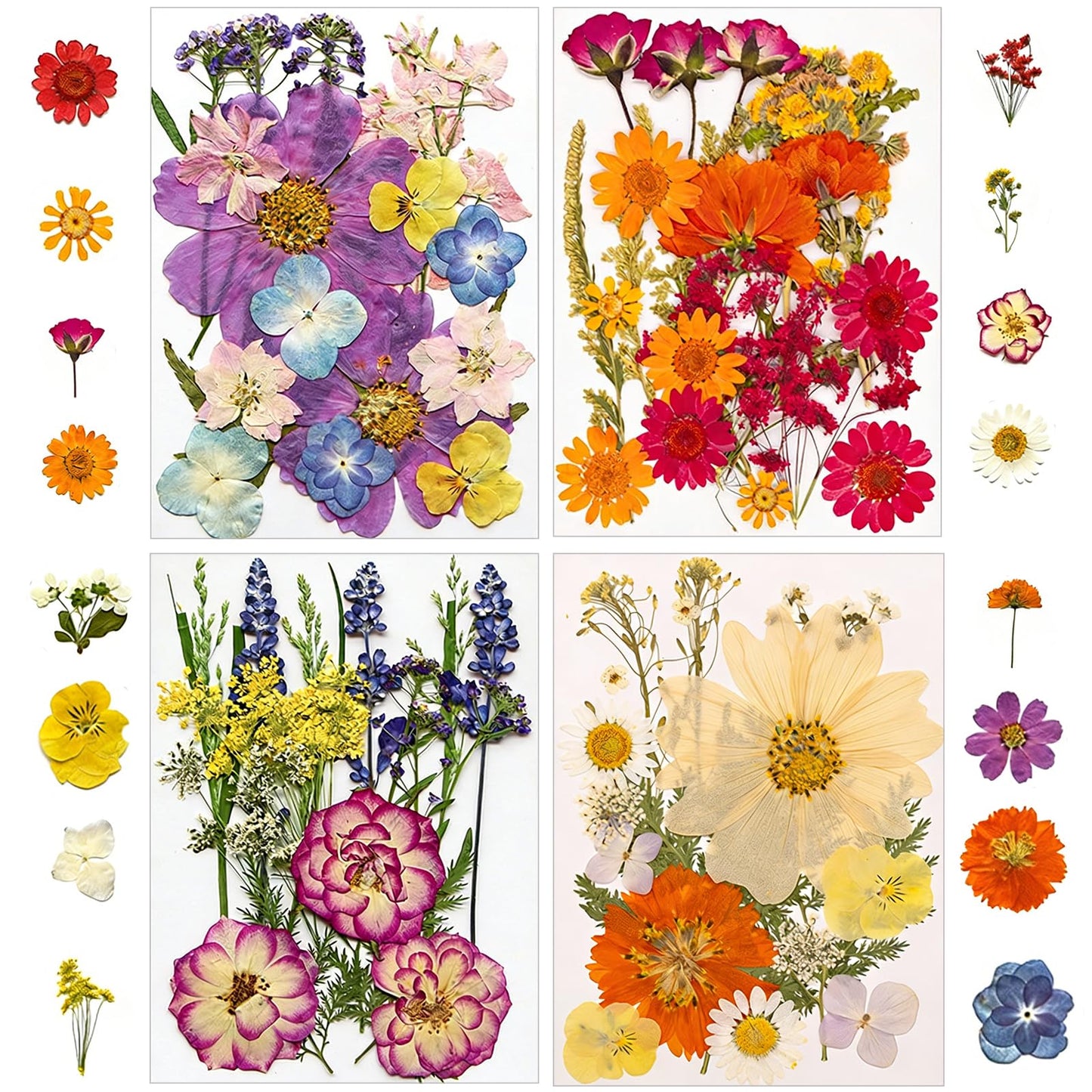 173 pcs Dried Flowers for Resin, Natural Flowers and Leaves Kit with Butterfly Stickers, Vacuum Sealed DIY Pressed Flowers for Jewelry Molds, Candle Soap Making, Scrapbook, Nail Art (Colorful-G)