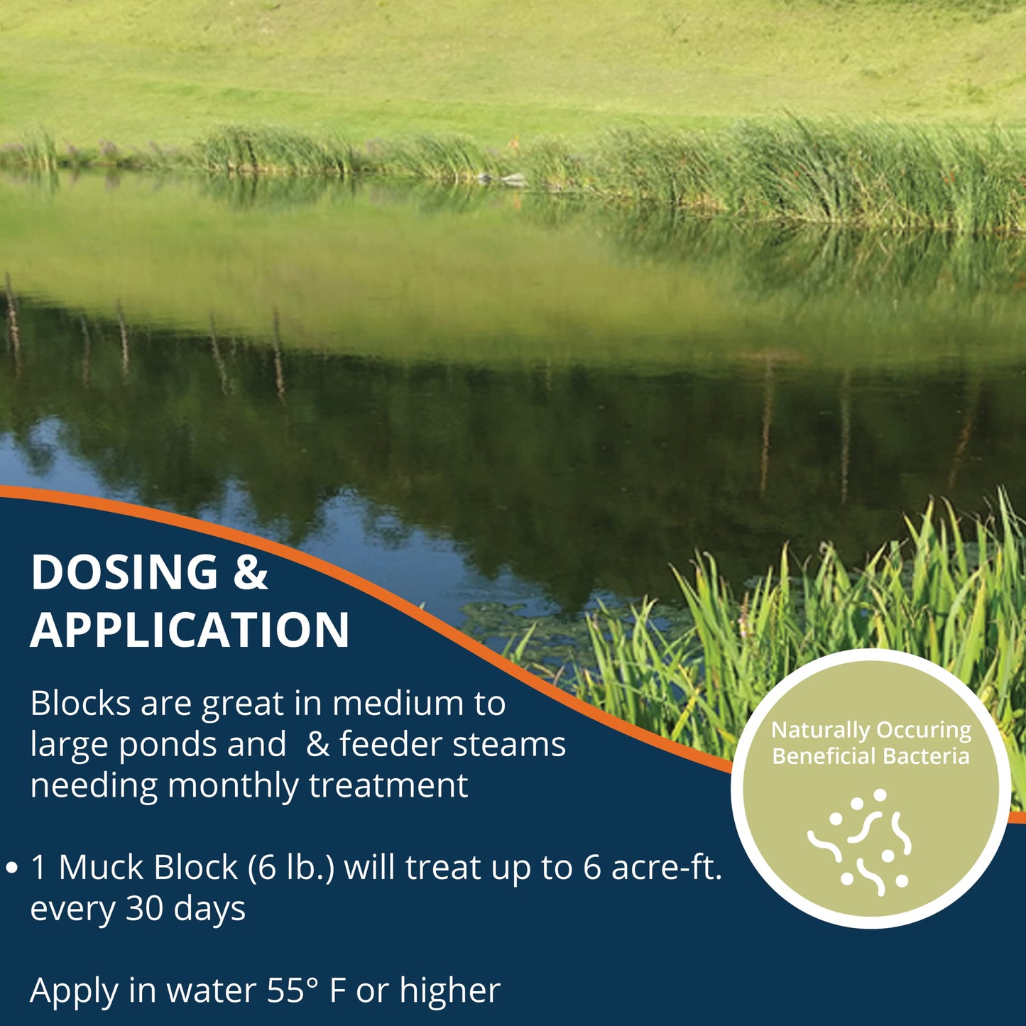 Kasco Macro Zyme Time Release Block Beneficial Bacteria Pack of 2 | Muck Remover for Ponds & Lakes | Non-Chemical Lake & Pond Treatment for Eliminating Sludge & Odors | Treats Up to 6 acre-feet 12 lb.