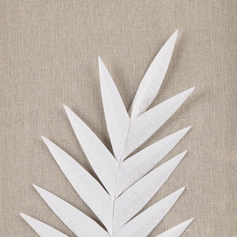 Madison Park Sabal Floral Wall Art - Handmade Canvas Palm Natural Rice Paper Shadow -Box Set, Glass, Wood Frame, Linen Base, Botanical Modern Room Decor for Hallway, Bedroom Accent, Off White 3 Piece