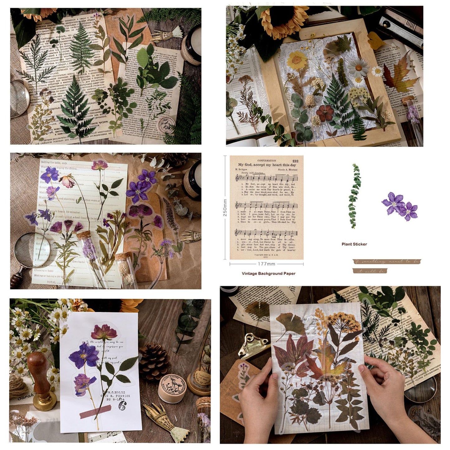 Maxleaf Botanic Series Sticker, 80PCS Large Dried Flowers Waterproof Transparent Stickers, PET Nature Plant Floral Stickers for Journaling Scrapbooking, Clear Flower Decals