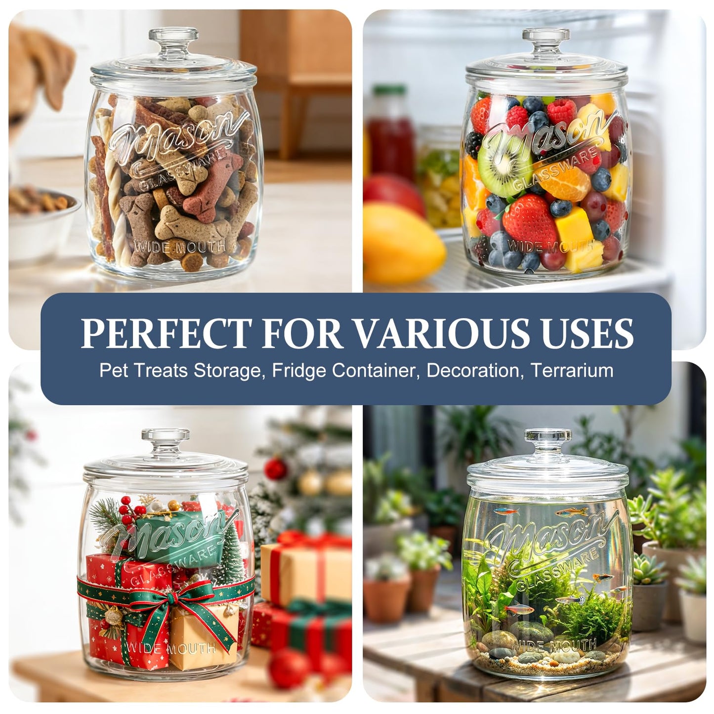 Folinstall Half Gallon Glass Cookie Jar, Food Storage Container, Wide Mouth Glass Storage Jar with Lid, 64 oz, Sourdough Starter, and Laundry Room Storage & Pantry