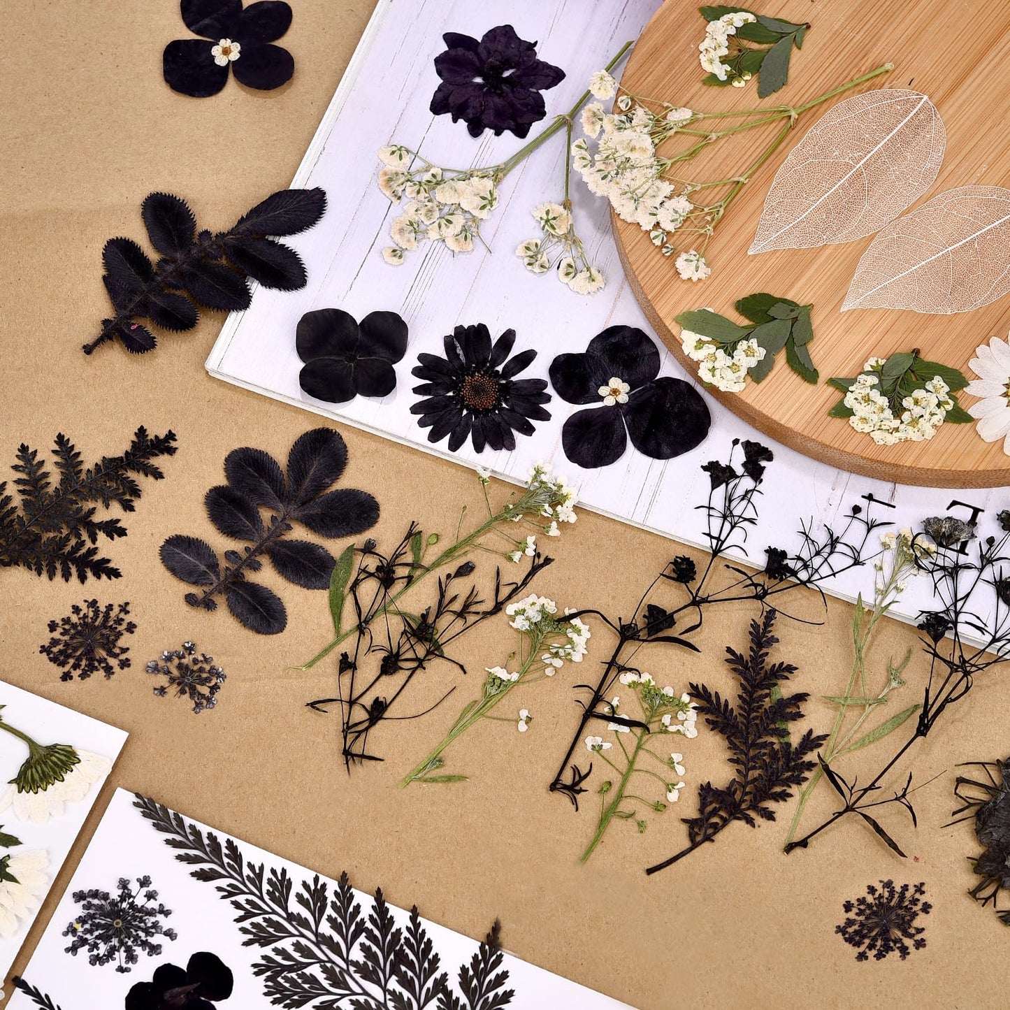 DALARAN Black Dried Pressed Flowers for Resin Molds, Bulk Real Natural Dry Floral for DIY Art Crafts, Epoxy Jewelry, Candle, Nails Decor, Phone Case,Soap Making