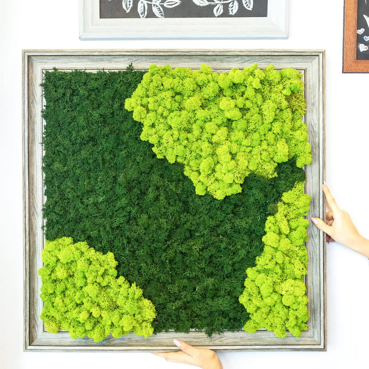 Jadive 21.2 oz Moss Preserved 1.32 Lbs Green Preserved Reindeer Moss Bulk Artificial Decorative DIY Kit for Craft Wall Decor Fairy Gardens Terrariums Art Project Table Floral Decor