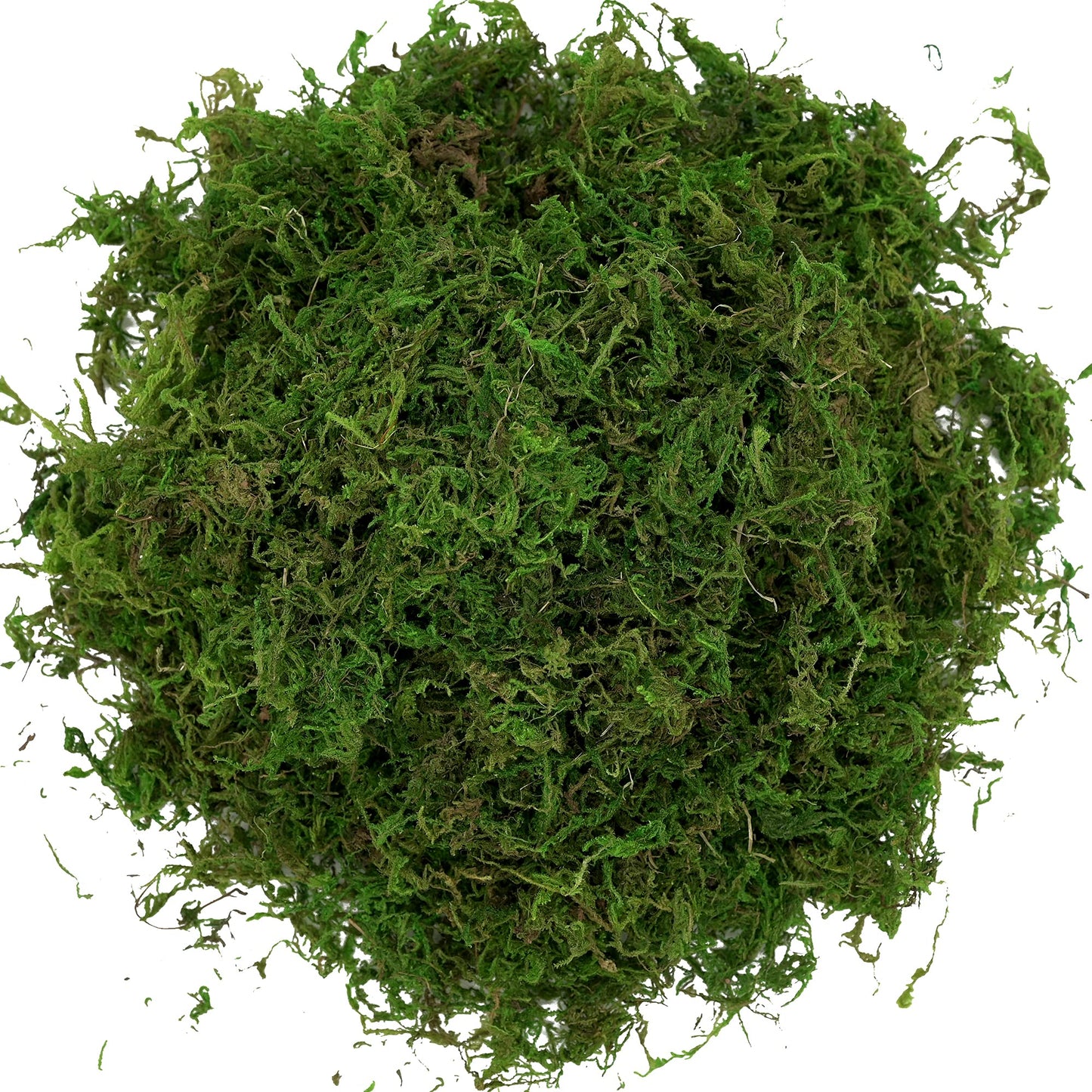 USMOLA Artificial Moss, 16OZ Fake Moss for Crafts Table Centerpieces Fairy Garden Wedding Party Decor, Faux Grass for Potted Plants, 455gr (Fresh Green)