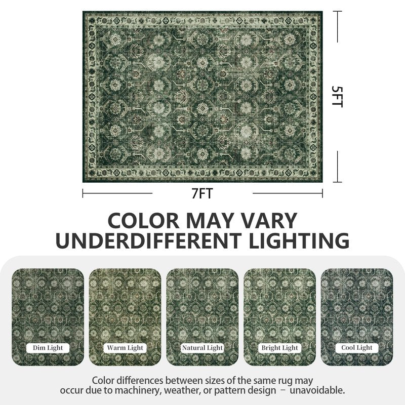 Woodbruy 5x7 Area Rugs, Soft Non Slip Low Pile Washable Rug, Boho Modern Rug for Living Room, Bedroom, Dining Room, Sage Green