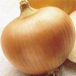 Seed Kingdom 1/4 Lb Onion Yellow Sweet Spanish Great Heirloom Vegetable By Seeds