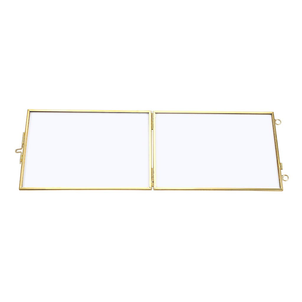JUXYES Set of 2 Wall Hanging Brass Frames for Pressed Flowers, Golden Modern Hanging Picture Artwork Display Frame, Double Glass Floater Style Gallery Wall Frame for Photo Picture Poster etc, 4x6 Inches