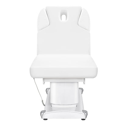 Dir Full Electric Medical Spa Treatment Massage Table Facial Beauty Bed Medical Examination Bed LUXI