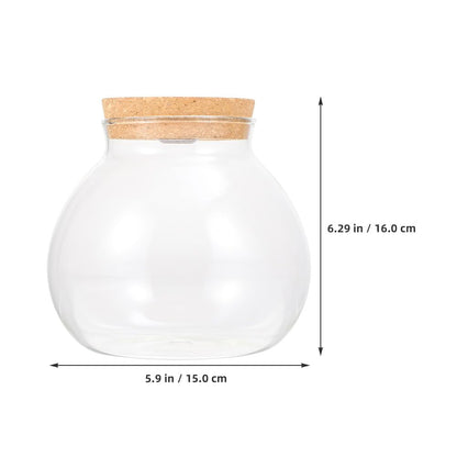 NUOBESTY Glass Terrarium Jar with Cork Lid, Hydroponic Plant Container, Desktop Propagation Jar with Led Light for Home Office Tabletop Decor