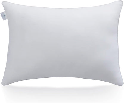 1 Count (Pack 1), Acanva Bed Sleeping Extra-Soft Sham Down Alternative Pillow Insert, of White