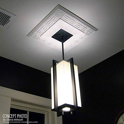 Ekena Millwork CM22RB 22 1/4-Inch OD x 4 3/4-Inch ID Robin Ceiling Medallion