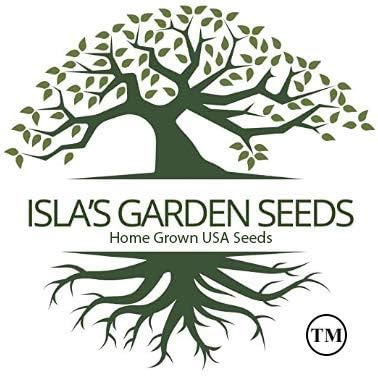 500+ Lacinato Kale Seeds (Brassica oleracea var. palmifolia) Heirloom Non-GMO Seeds by Islas Garden Seeds, Dark