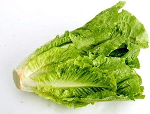 (1/2 LB) Bulk Organic Romaine Lettuce Seeds