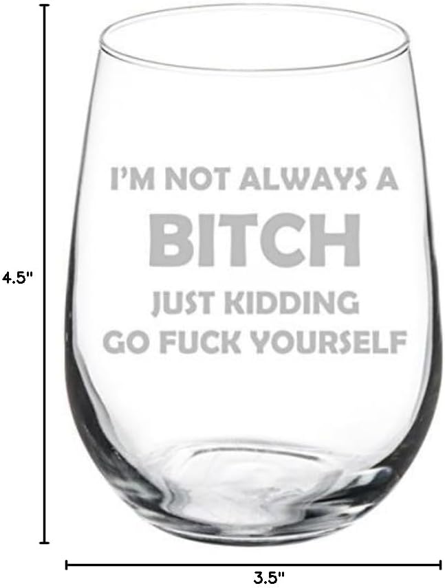 MIP Funny Wine Glass Goblet - I'm Not Always A B*tch Just Kidding (17 oz Stemless)
