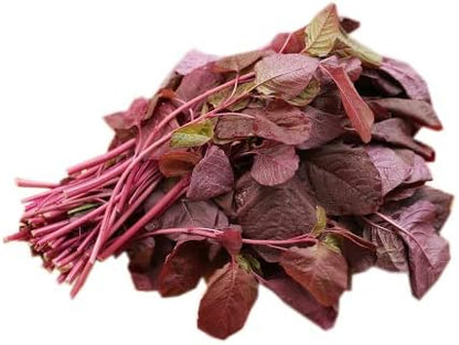 HipGirl Amaranth-1g,1000Seeds Red Amaranth Seeds for Planting.Chinese Spinach Seeds for Planting.Non GMO Seed