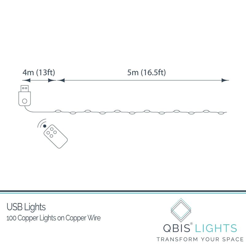 QBIS Warm White Fairy Lights on Copper Wire, 100 Micro LED String Lights with USB Plug, Timer, Multi Function, Adjust Brightness, Pretty Micro LED Christmas Lights
