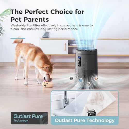 AROEVE Air Purifiers for Bedroom Air Purifier With Aromatherapy Function For Pet Smoke Pollen Dander Hair Smell 20dB Air Cleaner For Bedroom Office Living Room, MK06- Black(Available for California)