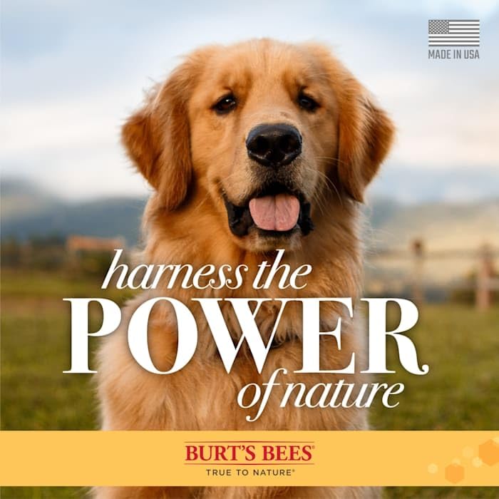 Burt's Bees for Pets Tear Free Puppy Shampoo and Conditioner - Tearless Dog Wash for Puppies, Pet Grooming Supplies, Gentle Dog Shampoo and Conditioner, Puppy Essentials for Easy Groom, 16 Fl Oz