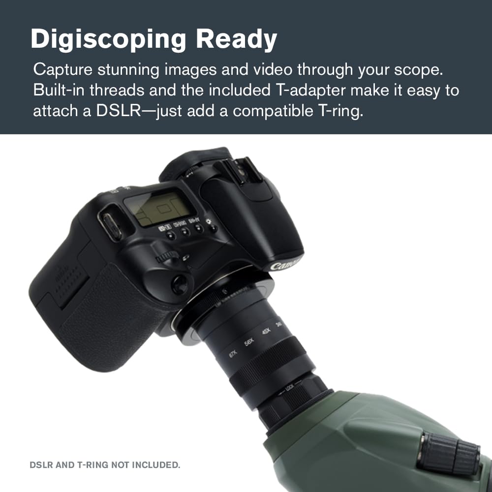 Celestron – Regal M2 80ED Spotting Scope – ED Glass for Birding and Outdoor Activities – Phase and Dielectric Coated BaK-4 Prism – Fully Multi-Coated Optics – Dual Focus – 20-60x Zoom Eyepiece