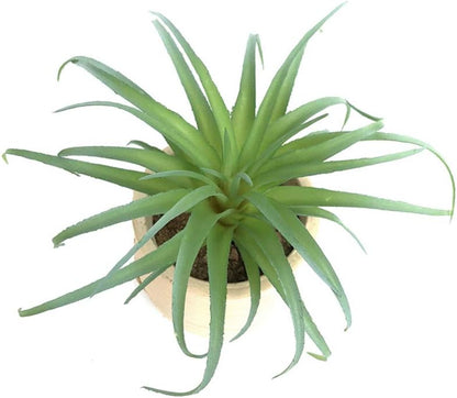 2 PCS Artificial Succulents Plants Unpotted Fake Tillandsia Air Plants for DIY Garden Decor Home Decoration Greenery Set