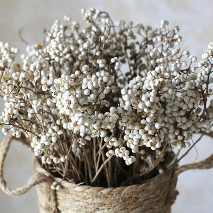 220g 17" 2 Tallow Berries Dried Christmas Decor- Natural Stem Wedding Floral Decor, White Holly Tallow Berries, Bundles