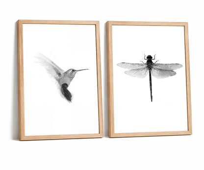 2pcs Black and White Minimalist Wall Art Modern Hummingbird Dragonfly Poster Print, Scandinavian Japandi Style Nature Picture Painting, Neutral Bedroom Living Room Wall Decor 12x16 Inches