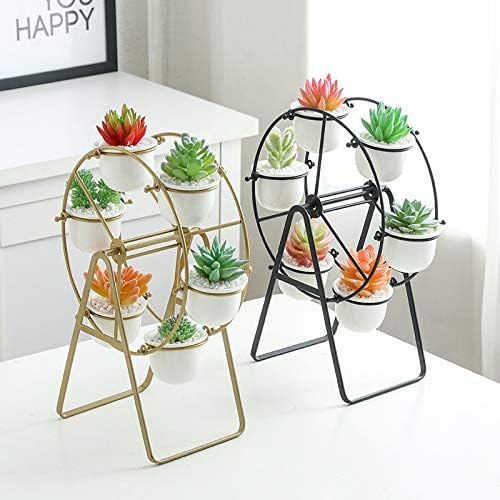 6 Ferris Wheel Plant Stand with Planters Succulent Pots for Home Office Desk Decoration (Black)