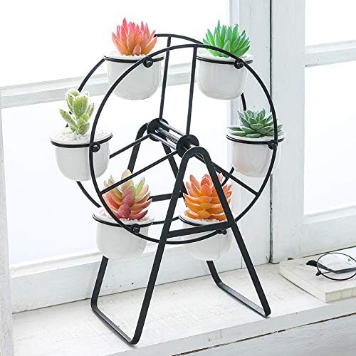6 Ferris Wheel Plant Stand with Planters Succulent Pots for Home Office Desk Decoration (Black)