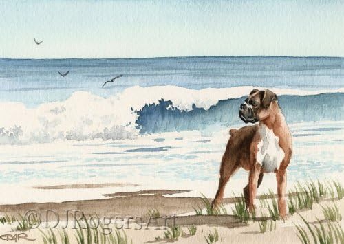 Boxer At The Beach Watercolor Art Print by David J Rogers