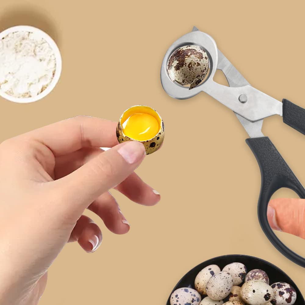 XINMEIWEN 10Pack Stainless Steel Quail Egg Cutter Scissors Quail and Pigeon Egg Cutter Tool Quail Scissors Opener Quail Egg Cracker for Home Kitchen (Black)