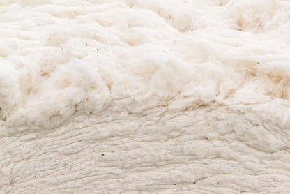Grown In The USA Raw Cotton Stuffing - Natural, Eco-Friendly Batting | 3 lb Size