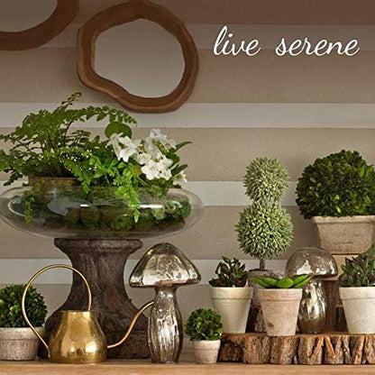 Serene Spaces Living White Marble Bowl - Decorative Multi-Purpose Catchall for Home Decor, Measures 2.25" Wide