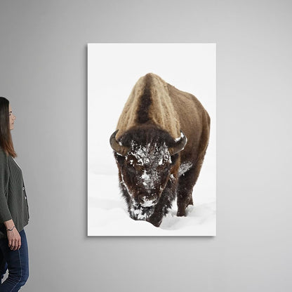 CANVAS ON DEMAND Bison in Snow, Yellowstone National Park, Wyoming Canvas Wall Art Print by James Hager, Home Decor, Wildlife, Winter Artwork,40" x60in