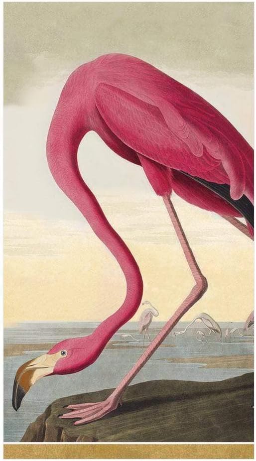 15 Package, Caspari Audubon Birds Paper Guest Towel Napkins, Per Pink