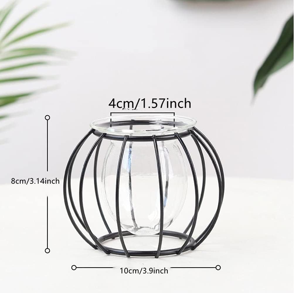 Nordic Small Clear Glass Vase, Metal Geometric Iron Line Cup Pot for Hydroponic Flowers, Modern Home Décor