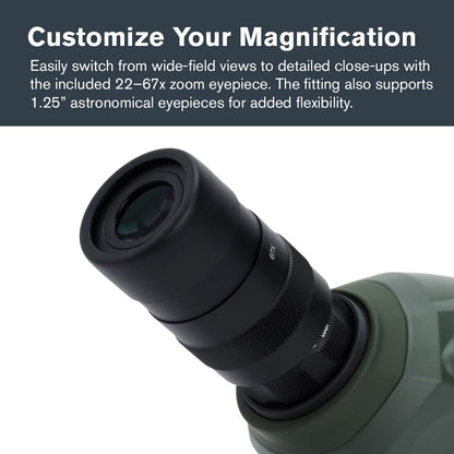 Celestron – Regal M2 100ED Spotting Scope – ED Glass for Birding and Outdoor Activities – Phase and Dielectric Coated BaK-4 Prism – Fully Multi-Coated Optics – Dual Focus – 22-67x Zoom Eyepiece